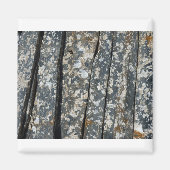 Ardots Magnet (Vorne)