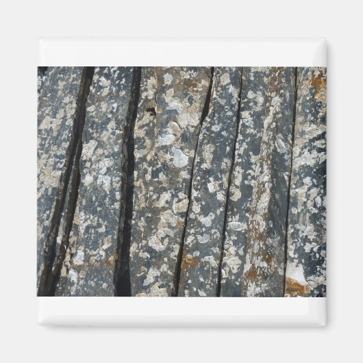 Ardots Magnet (Vorne)