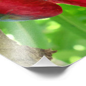 Are you looking at me? fotodruck (Ecke)