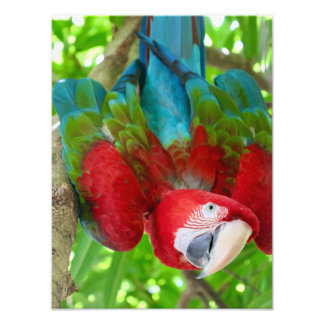 Are you looking at me?  fotodruck