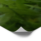 Are You Ready Poster (Ecke)