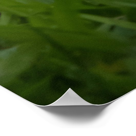 Are You Ready Poster (Ecke)