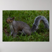 Are You Ready Poster (Vorne)