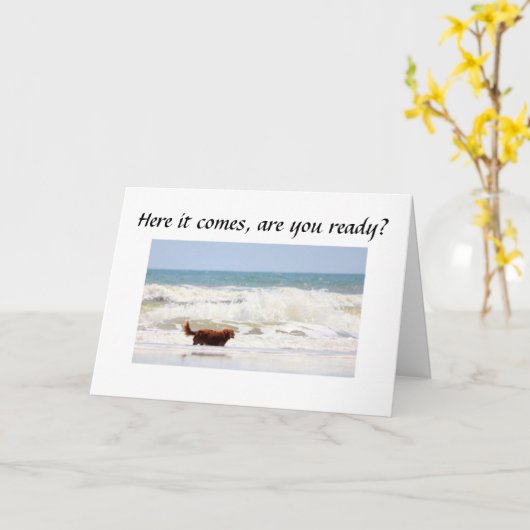 ARE "YOU" READY TO BE 40-GROUP CARD KARTE (Gelbe Blume)