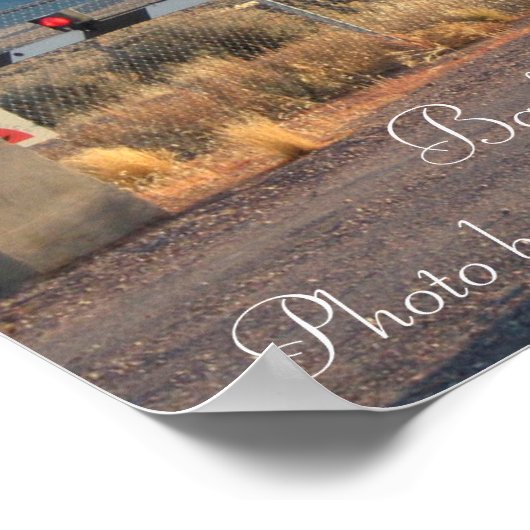 Area 51 Back Gate Foto Poster (Ecke)