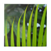 Areca Palm Frond Fliese (Vorderseite)
