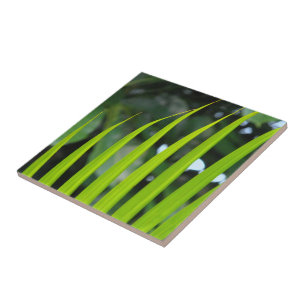 Areca Palm Frond Fliese