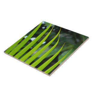 Areca Palm Frond Fliese