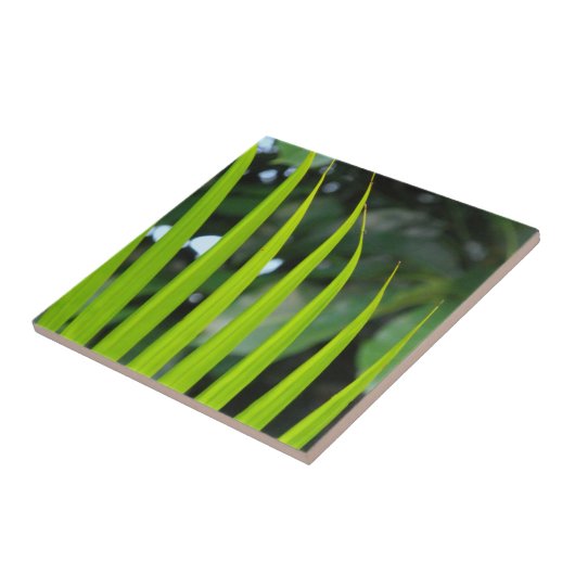 Areca Palm Frond Fliese (Seite)