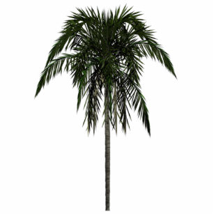 Areca Palm Skulptur Freistehende Fotoskulptur
