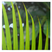 Areca-Palmenwedel Fliese (Vorderseite)