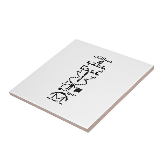 Arecibo Binary Message 1974 Fliese (Seite)