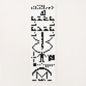 Arecibo Binary Message 1974 Yogamatte (Vorderseite)