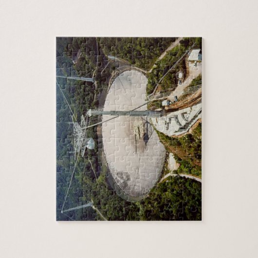 Arecibo Radio Telescope Puzzle (Vertikal)