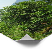 Arenal, Costa Rica Poster (Ecke)