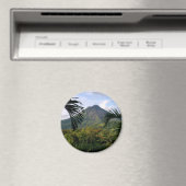 Arenal Magnet (In Situ (Geschirrspüler))