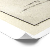 Arent van Boltens "Monster Ridden by Apes" Poster (Ecke)