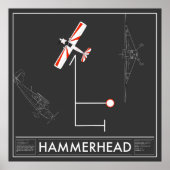 Aresti Aerobatic Hammerhead Super Decathlon Poster (Vorne)