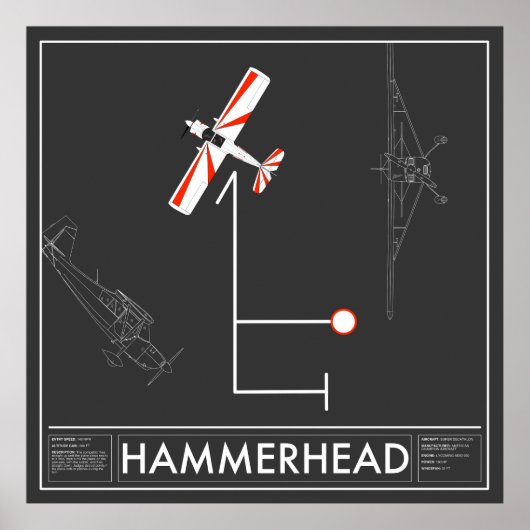 Aresti Aerobatic Hammerhead Super Decathlon Poster (Vorne)