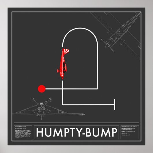 Aresti Aerobatic Humpty-Bump Super Decathlon Poster (Vorne)