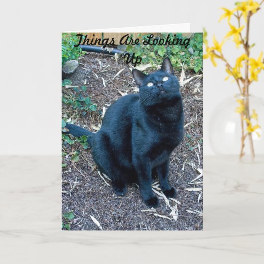 Arg Birthday Card 3 Karte (Gelbe Blume)