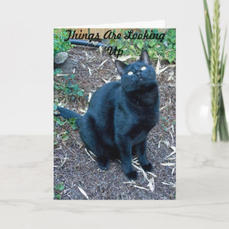 Arg Birthday Card 3 Karte