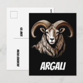Argali Ausblick Postkarte (Vorne/Hinten)