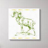 Argali Leinwanddruck (Vorderseite)