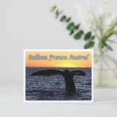Argentinien - Ballena franca austral - Postkarte (Stehend Vorderseite)