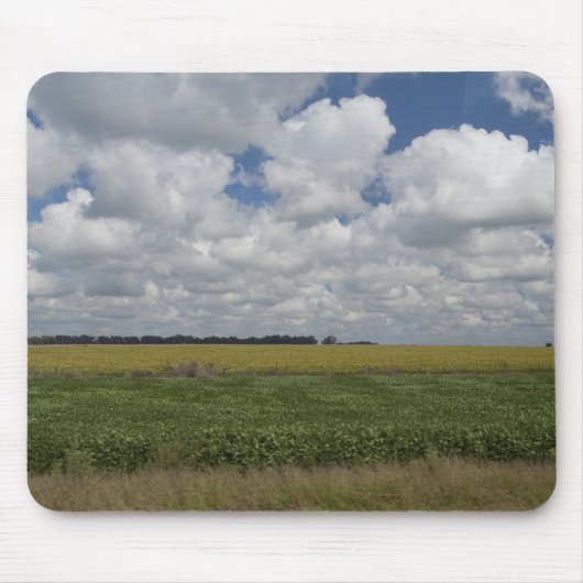 Argentinien, Buenos Aires, San Antonio de Areco. Mousepad (Vorne)