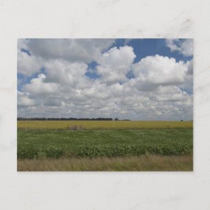 Argentinien, Buenos Aires, San Antonio de Areco. Postkarte