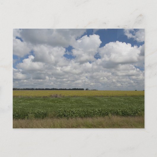 Argentinien, Buenos Aires, San Antonio de Areco. Postkarte (Vorderseite)