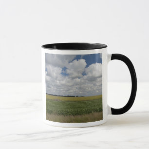 Argentinien, Buenos Aires, San Antonio de Areco. Tasse