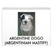 Argentinien Dogo Kalender (Titelbild)