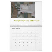Argentinien Dogo Kalender (Mär 2027)