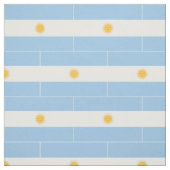 Argentinien-Flagge Stoff (Muster)