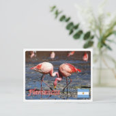 Argentinien - Flamencos de la puna - Postkarte (Stehend Vorderseite)