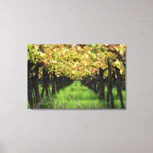 Argentinien, Mendoza, Reihe der Traube im Weinberg Leinwanddruck