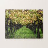 Argentinien, Mendoza, Reihe der Traube im Weinberg Puzzle (Horizontal)