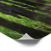 Argentinien, Mendoza, Weinreben Poster (Ecke)