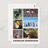 Argentinien - Mosaico Animales Argentinos Postkarte (Vorne/Hinten)