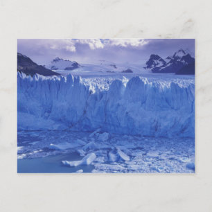 Argentinien, Patagonien, Nationalpark Los Postkarte