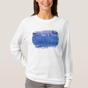 Argentinien, Patagonien, Nationalpark Los T-Shirt