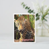 Argentinien - Yaguareté - Postkarte (Stehend Vorderseite)