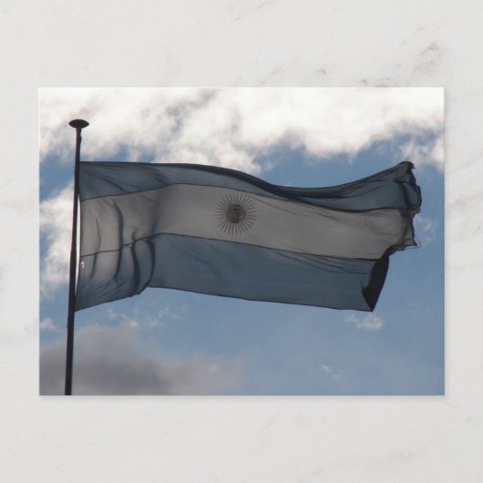Argentiniens Flagge Postkarte (Vorderseite)