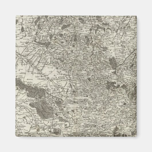 Argentinier, Falaise Magnet (Vorne)