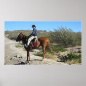 Argentinier Gaucho Poster (Vorne)