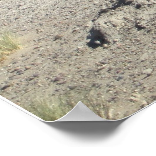 Argentinier Gaucho Poster (Ecke)