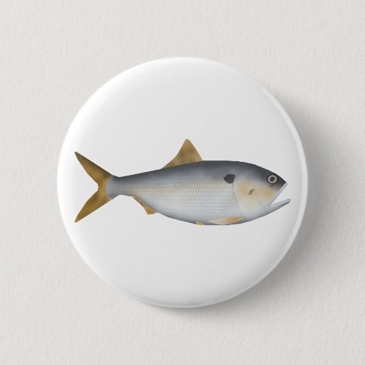 Argentinische Menhaden Button (Vorderseite)