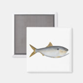 Argentinische Menhaden Magnet (Vorderseite/Rückseite)